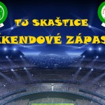 VIKENDOVE ZAPASY