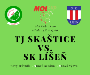 mol cup